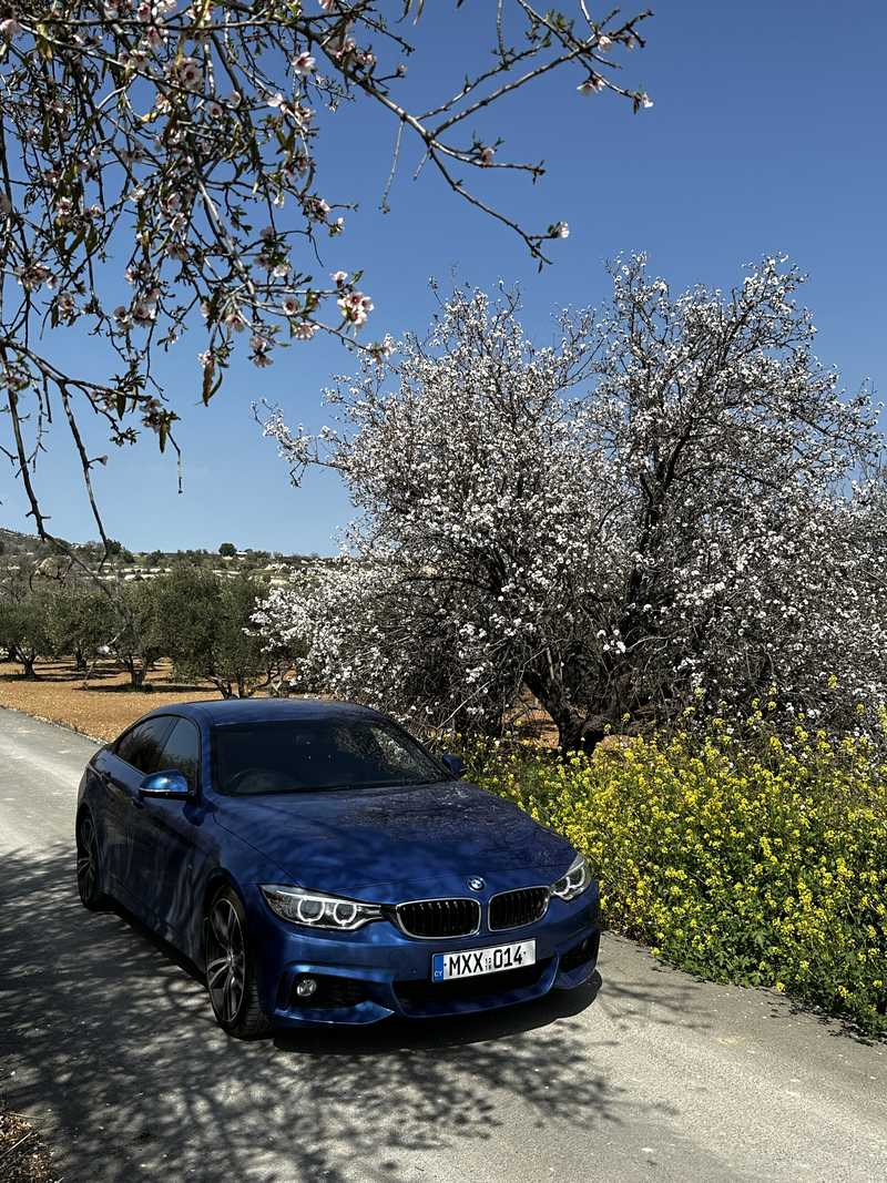 2016 BMW 4-Series 2,0L 2016 Cyprus