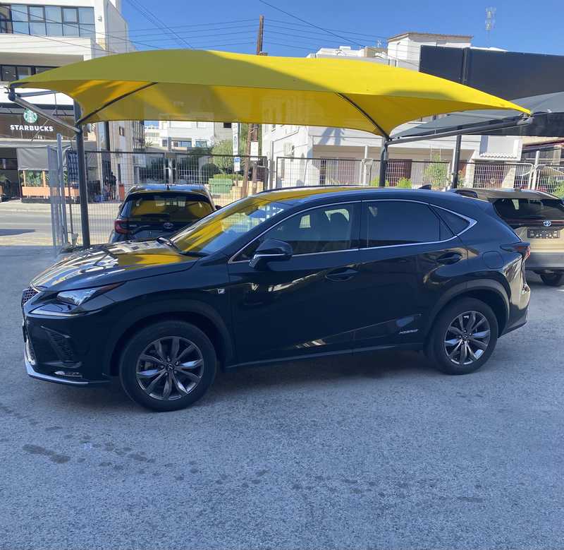 2021 Lexus NX 2,5L 2021 Cyprus