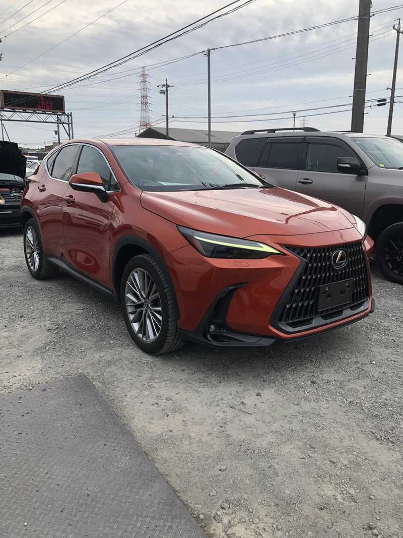 2023 Lexus NX 2,4L 2023 Cyprus