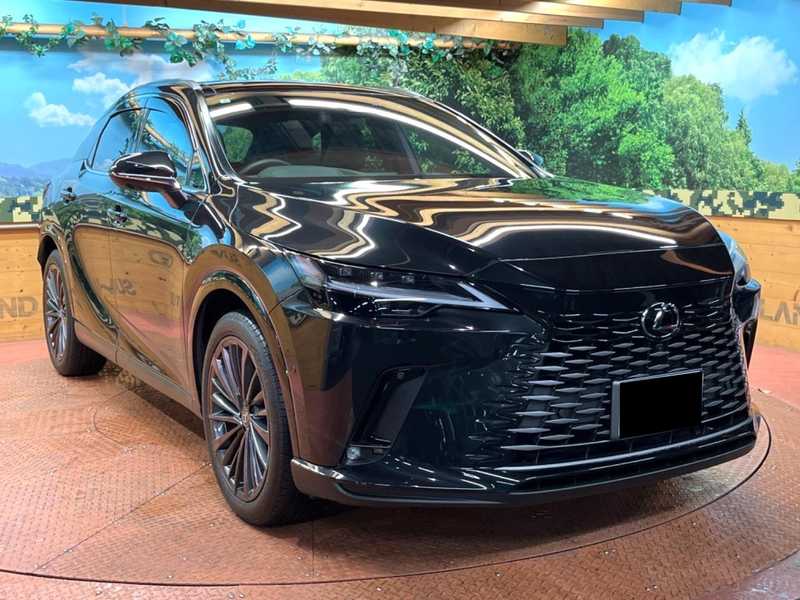 Lexus RX 2,5L 2024