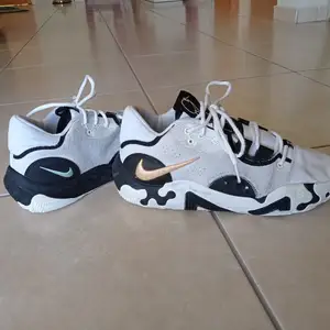 Nike basketball shoes, Επαρχία Λευκωσίας — Στρόβολος - Δασούπολη
