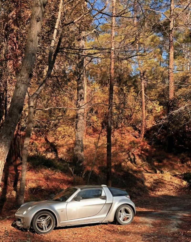 Smart Roadster 0,7L 2006