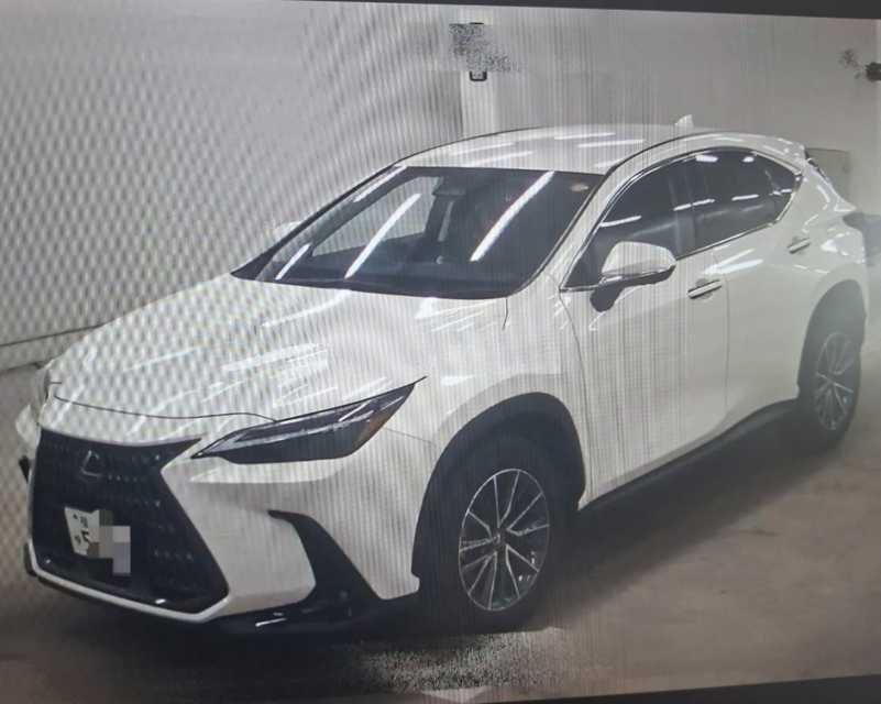 2023 Lexus NX 2,5L 2023 Cyprus