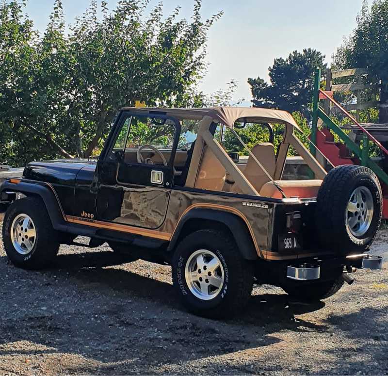 Jeep Wrangler 4,2L 1988