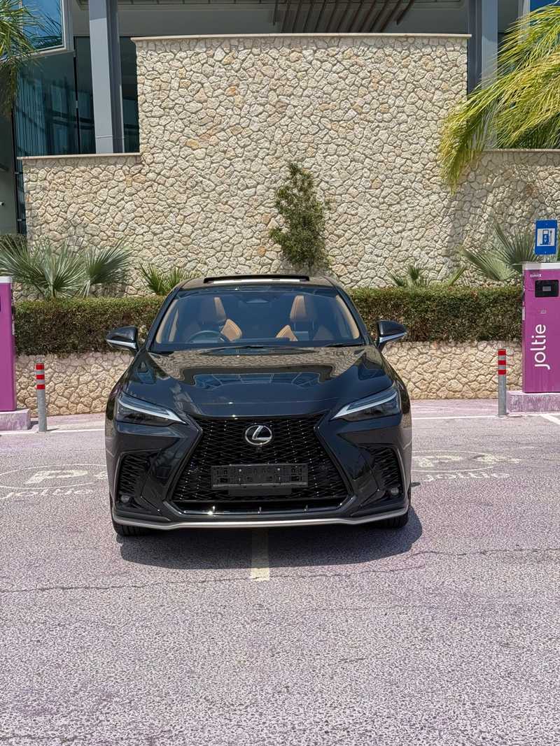 2025 Lexus NX 2,5L 2025 Cyprus