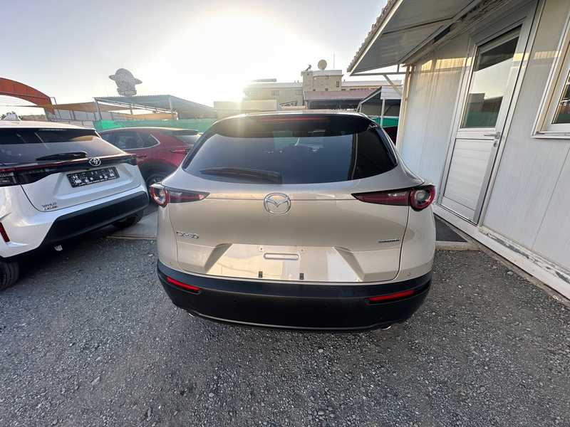 2024 Mazda CX-30 2,0L 2024 Cyprus