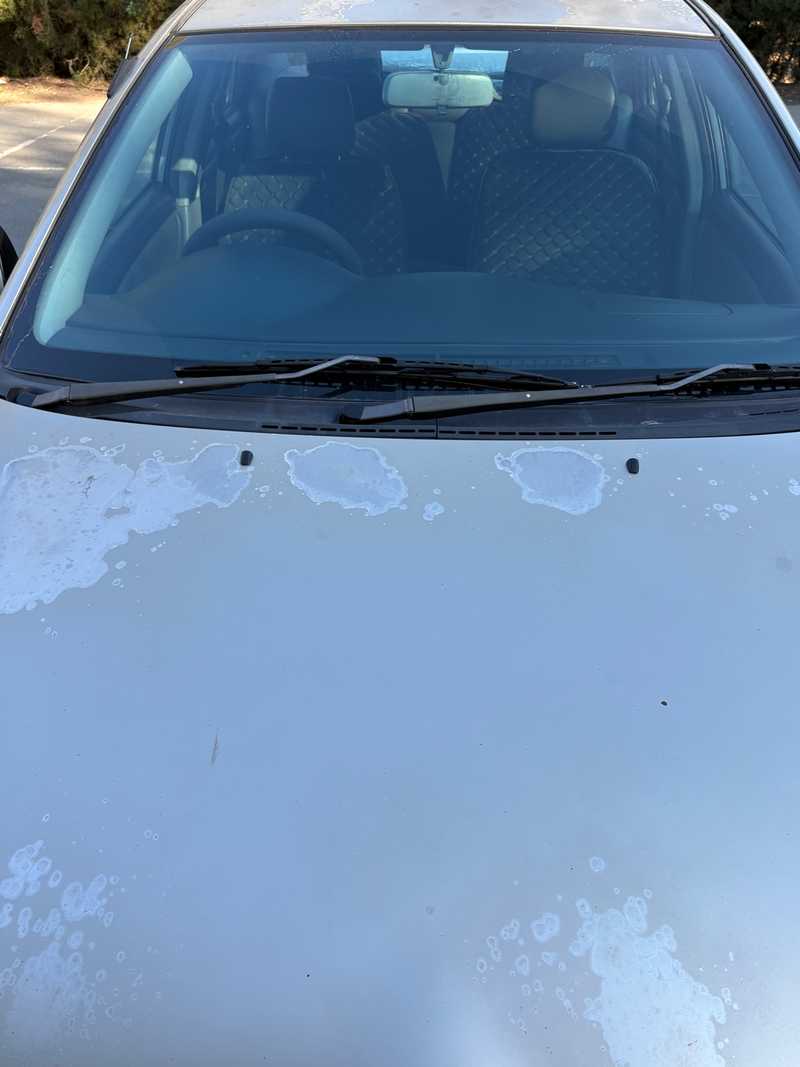 2003 Toyota Corolla 1,6L 2003 Cyprus