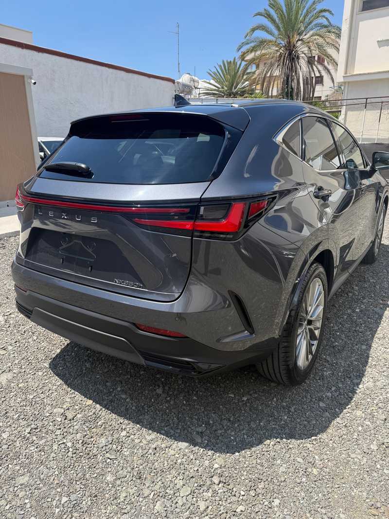 2024 Lexus NX 2,5L 2024 Cyprus