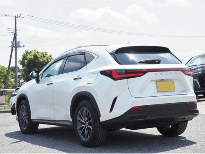 2025 Lexus NX 2,5L 2025 Cyprus
