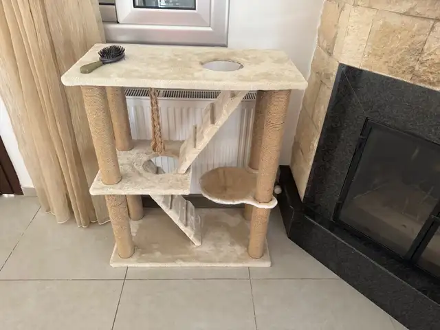 Cat tree, Limassol — Pyrgos Lemesou
