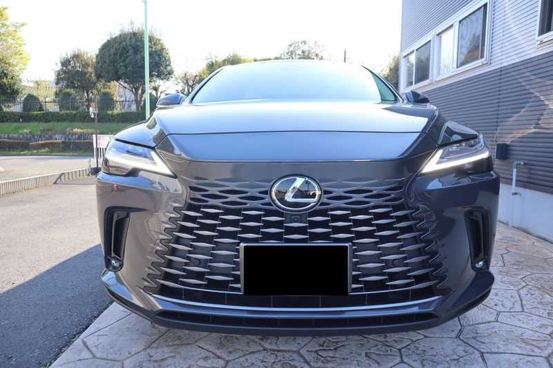 2024 Lexus RX 2,5L 2024 Cyprus