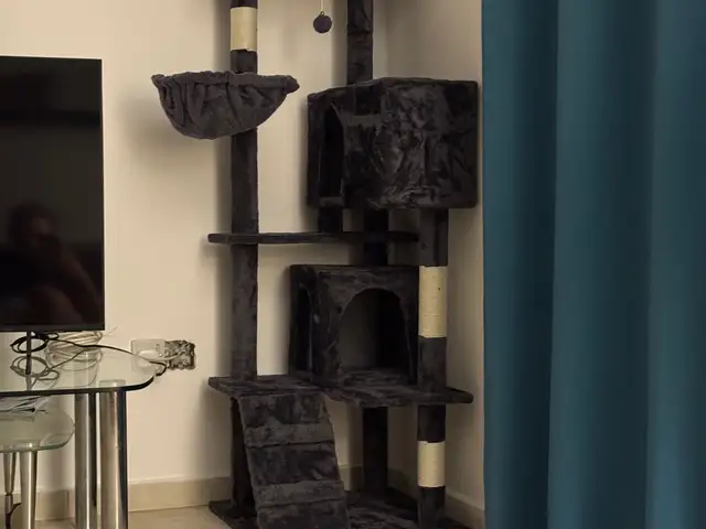Cat tree for cats new, Επαρχία Πάφου — Πάφος - Κάτω Πάφος
