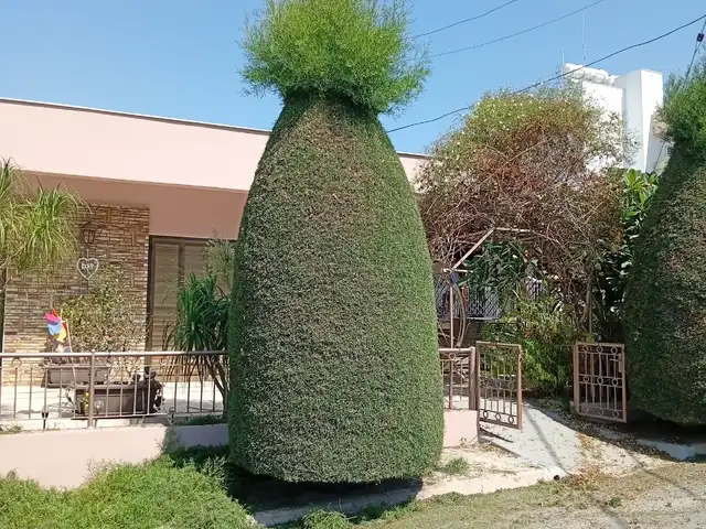 Gardening assistant, Επαρχία Λευκωσίας — Στρόβολος - Σταυρός