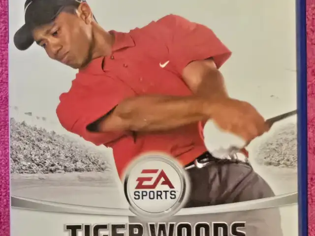 Tiger woods pga tour 06 ps2 , complete with manual, Επαρχία Λάρνακας — Αλεθρικό
