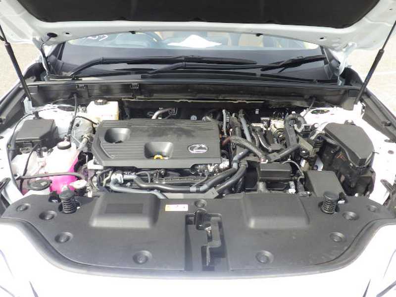 2024 Lexus NX 2,5L 2024 Cyprus