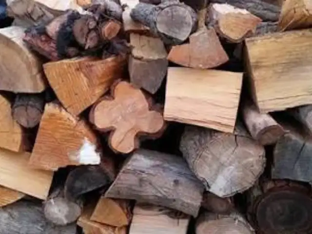 Καυσόξυλα όλων των ειδών, Επαρχία Λευκωσίας — Δάλι - Παναγ Ευαγγελίτρια
