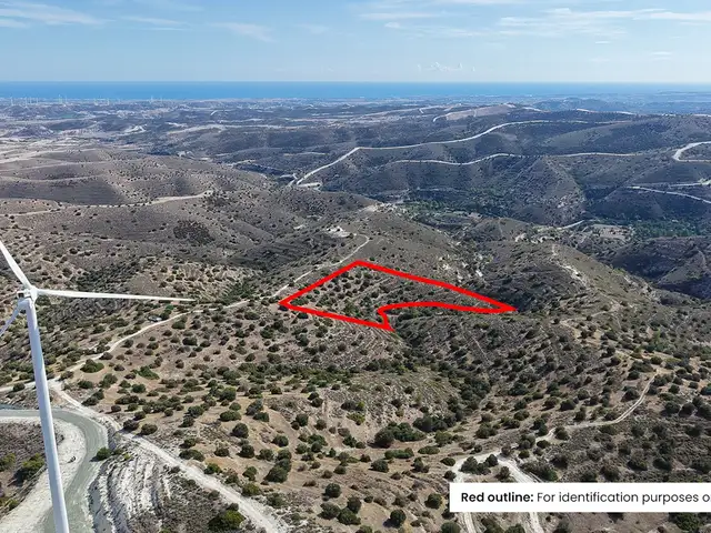 Agricultural Field 12189 m², Επαρχία Λάρνακας — Ψευδάς