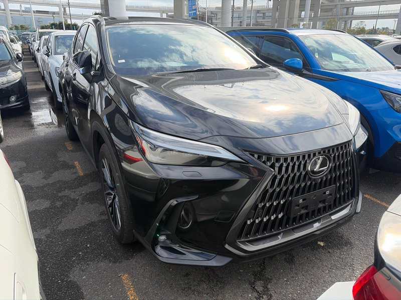 Lexus NX 2,5L 2023