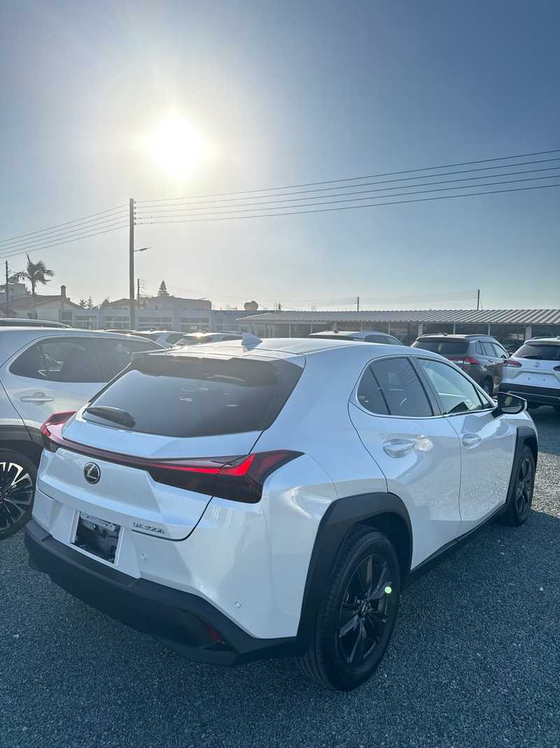 2025 Lexus UX 2,0L 2025 Cyprus
